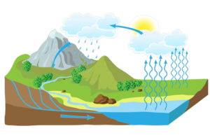 water cycle