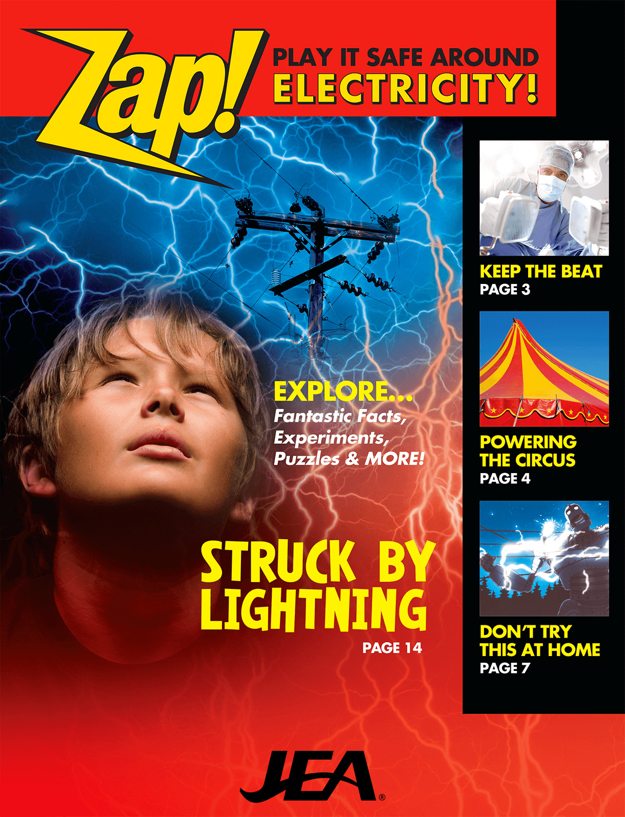 35810 Zap Play It Safe Around Electricity lg